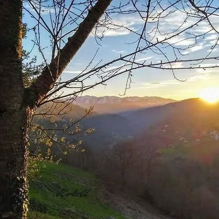 Hotel Restaurante El Fornon Novellana